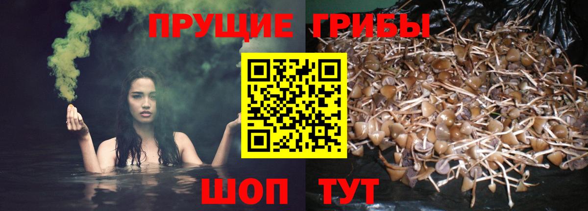 Галлюциногенные грибы MAGIC MUSHROOMS Можайск